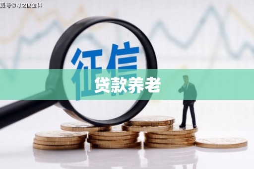 旺苍贷款养老
