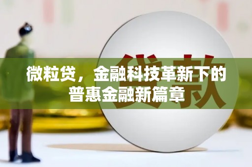 旺苍微粒贷，金融科技革新下的普惠金融新篇章