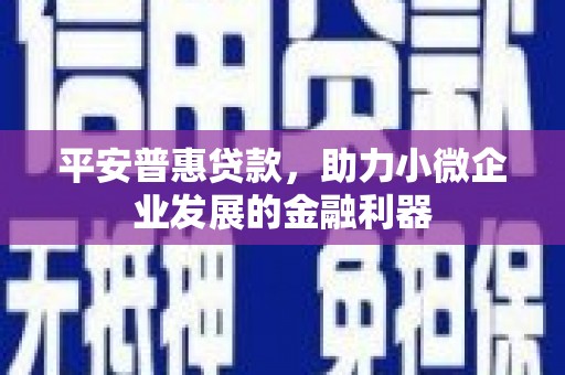 旺苍平安普惠贷款，助力小微企业发展的金融利器