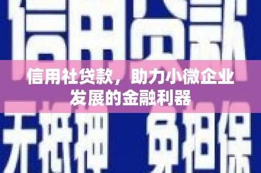 旺苍信用社贷款，助力小微企业发展的金融利器