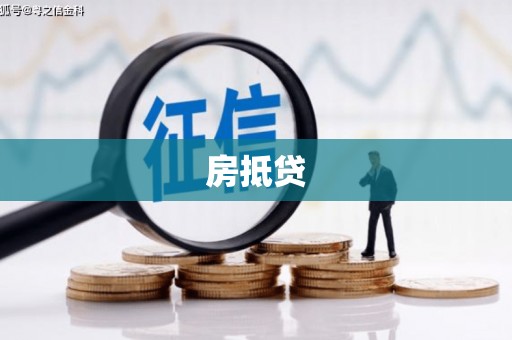 旺苍房抵贷