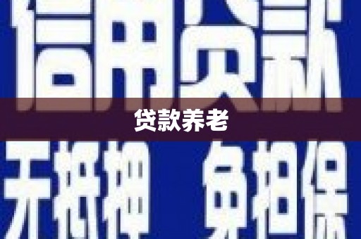旺苍贷款养老