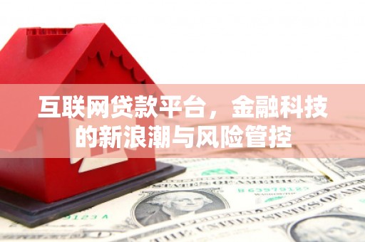 旺苍互联网贷款平台，金融科技的新浪潮与风险管控