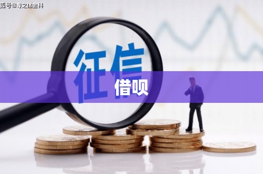 旺苍借呗