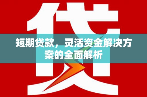 旺苍短期贷款，灵活资金解决方案的全面解析