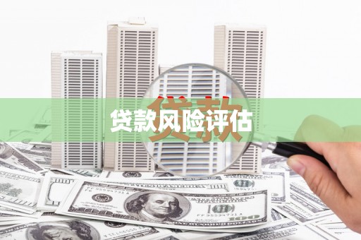 旺苍贷款风险评估