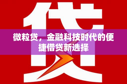 旺苍微粒贷，金融科技时代的便捷借贷新选择