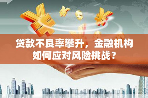 旺苍贷款不良率攀升，金融机构如何应对风险挑战？