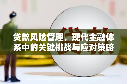旺苍贷款风险管理，现代金融体系中的关键挑战与应对策略