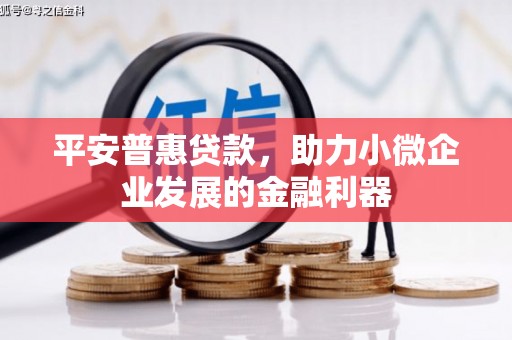 旺苍平安普惠贷款，助力小微企业发展的金融利器