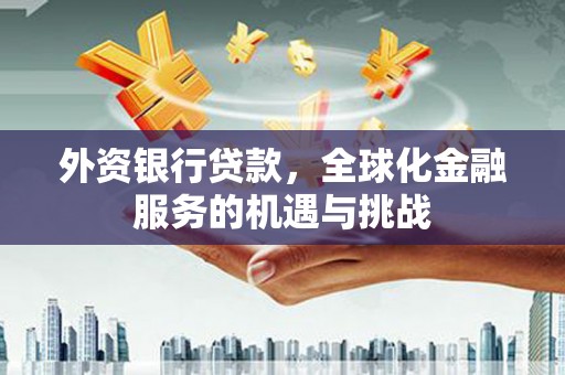 旺苍外资银行贷款，全球化金融服务的机遇与挑战