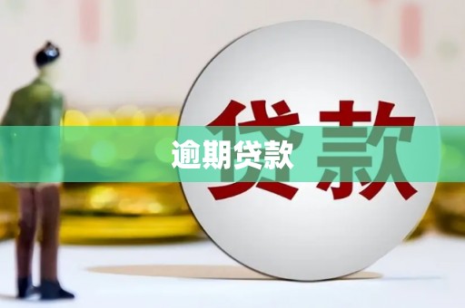 旺苍逾期贷款