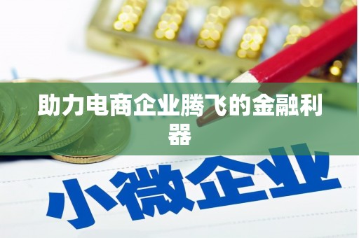 旺苍助力电商企业腾飞的金融利器