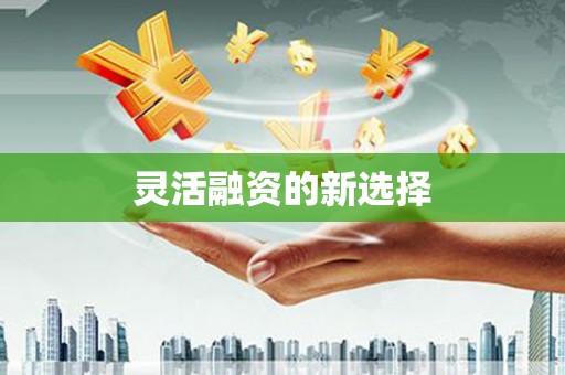 旺苍灵活融资的新选择