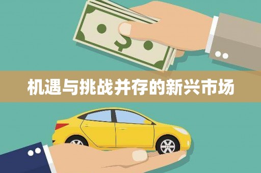 旺苍机遇与挑战并存的新兴市场