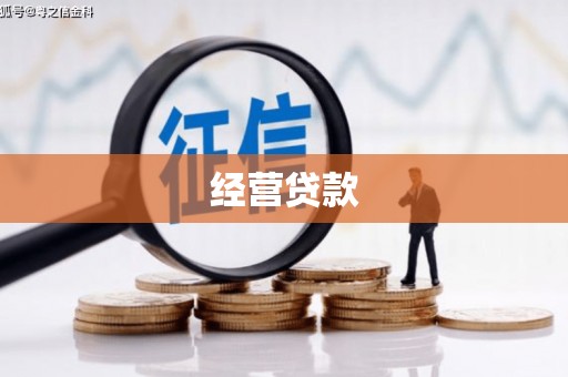 旺苍经营贷款