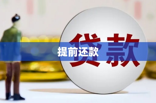 旺苍提前还款