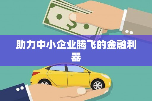旺苍助力中小企业腾飞的金融利器