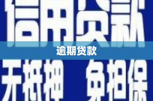 旺苍逾期贷款
