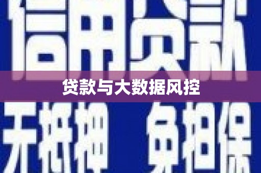 旺苍贷款与大数据风控