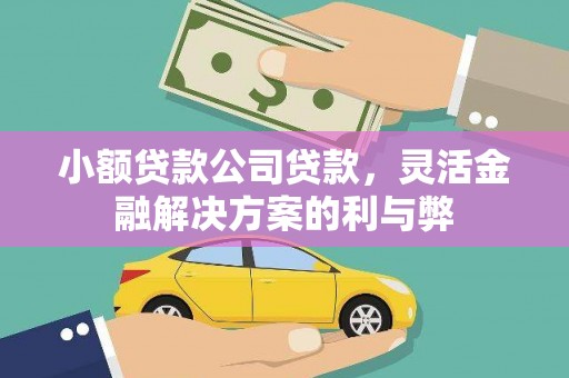 旺苍小额贷款公司贷款，灵活金融解决方案的利与弊