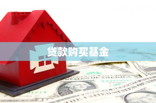 旺苍贷款购买基金