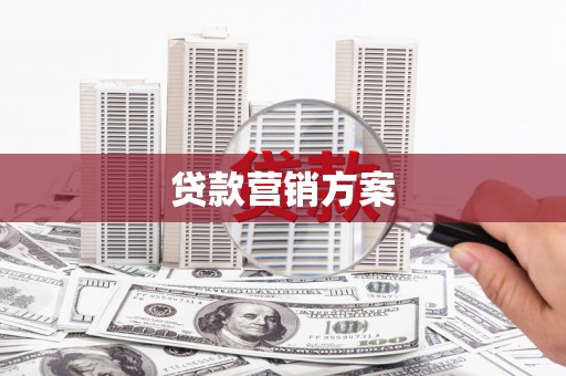 旺苍贷款营销方案